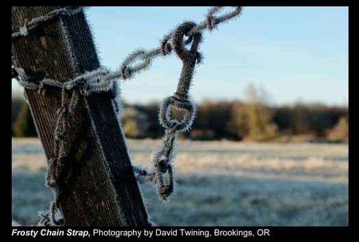 Twining,-David_Frosty-Chain-Strap_Brookings,-OR.